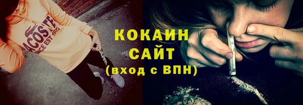 сатива Балахна