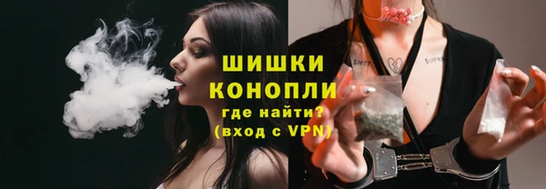 сатива Балахна