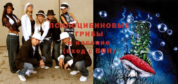 сатива Балахна