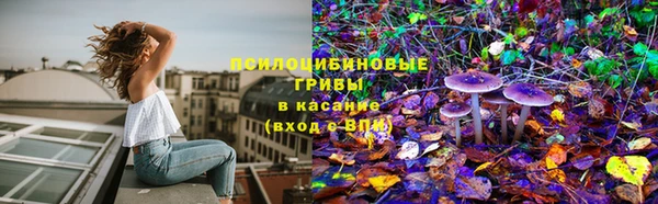 гашик Баксан