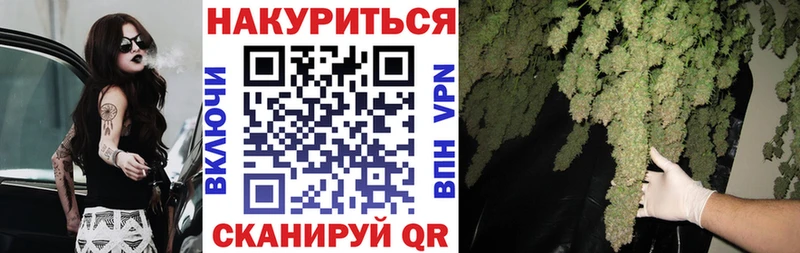 купить Новотитаровская Марихуана MAZAR